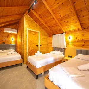 https://lodges-shen-nikolla.albaniahotels.org